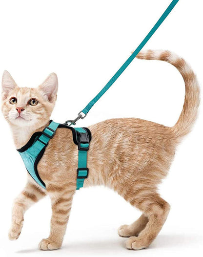 Harnais pour chat en gilet turquoise avec laisse, sangles réglables sur le torse