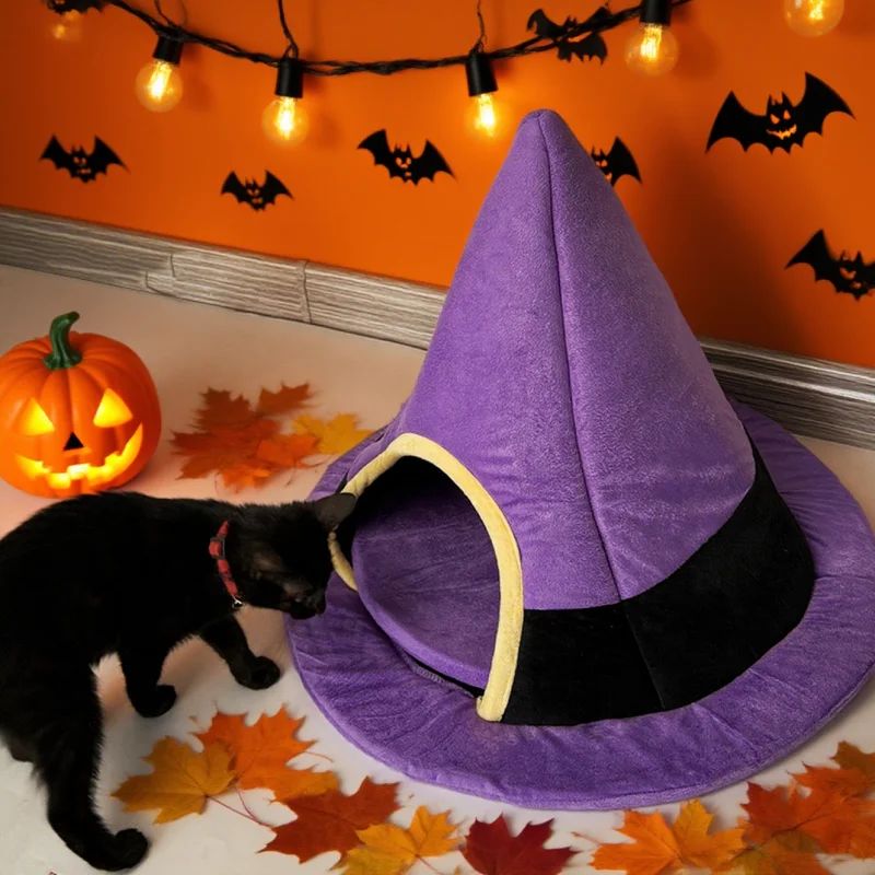 Chat noir entrant dans le lit, déco Halloween avec citrouille
