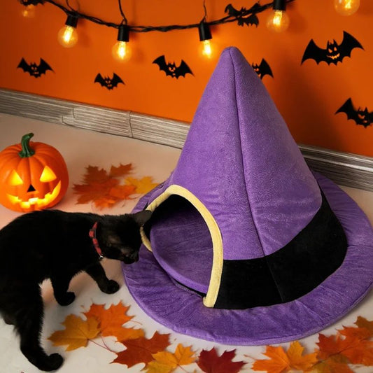 Chat noir entrant dans le lit, déco Halloween avec citrouille
