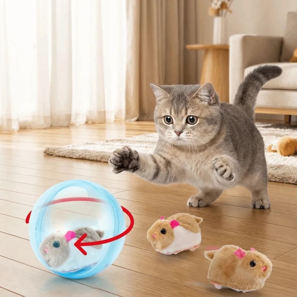 Balle roulante transparente bleue avec jouets en peluche pour chat