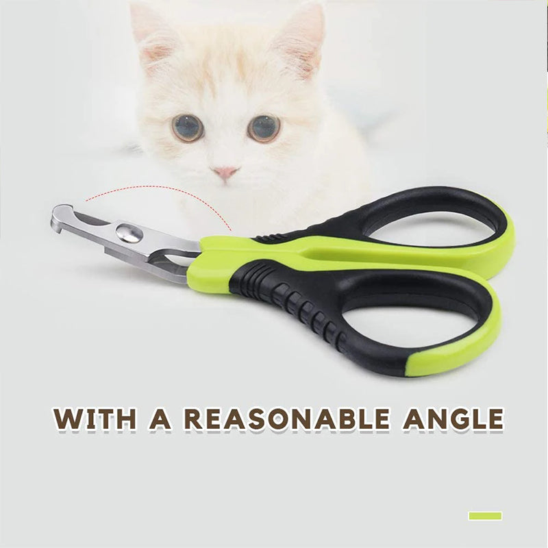 Ciseaux coupe-griffes pour chat avec lames acier inox et poignées vert fluo, près du chat