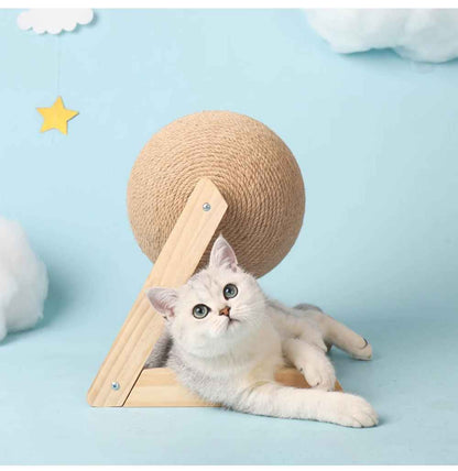 griffoir chat - chaton - Universduchat