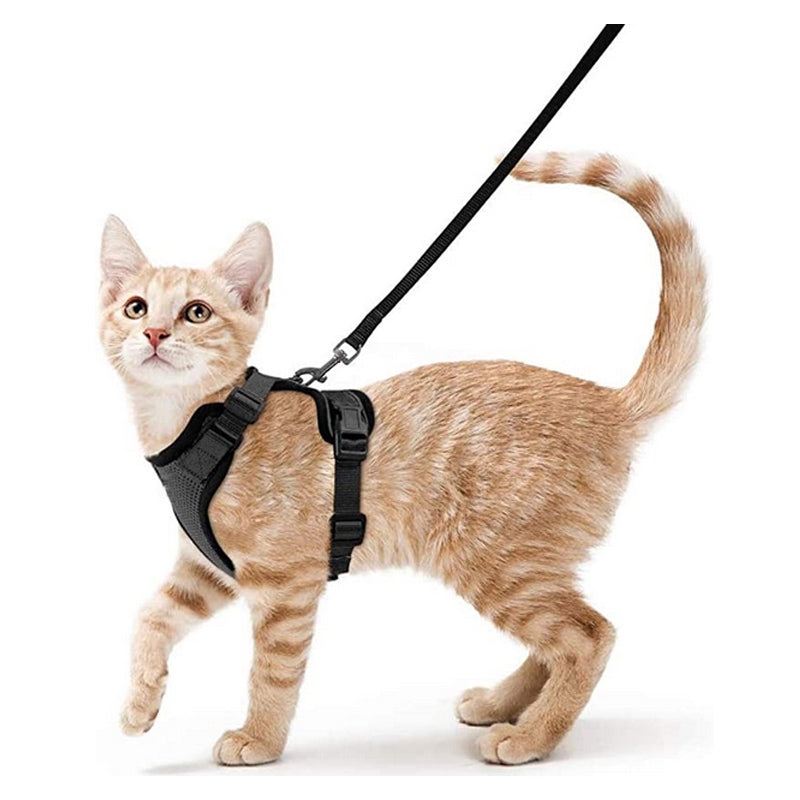 Harnais pour chat en gilet noir avec laisse noire, sangles réglables sur le torse