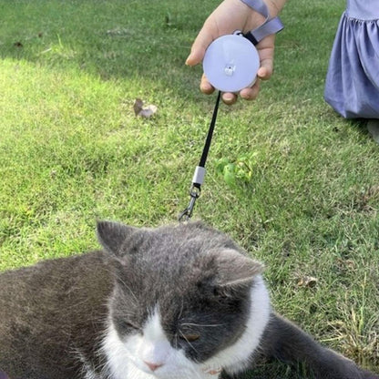 Enrouleur automatique pour laisse de chat blanc, main tenant l’appareil et mousqueton