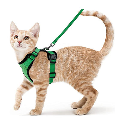 Harnais pour chat gilet vert, sangles réglables et fermeture sur la poitrine