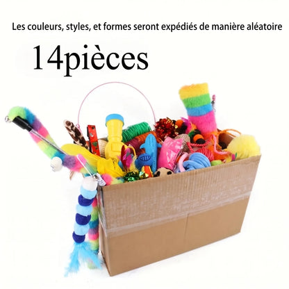 Pack de jouets pour chat en boîte ouverte, 14 pièces, accessoires multicolores