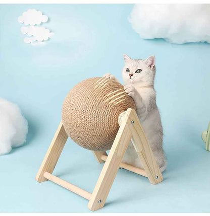griffoir chat - chaton - Universduchat