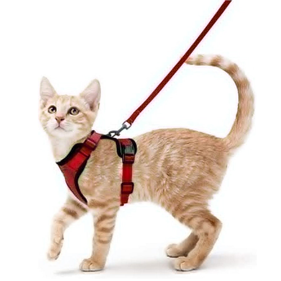 Harnais pour chat en gilet rouge et noir avec laisse, sangles réglables