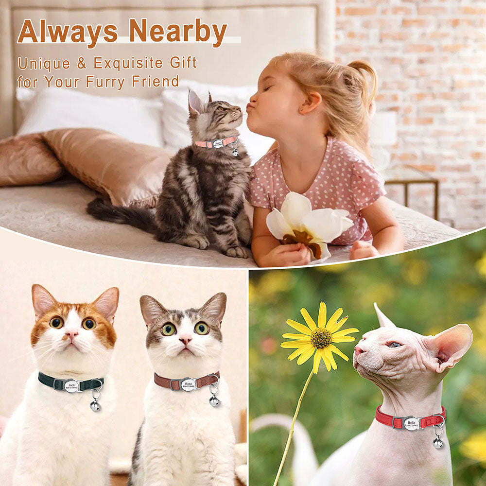 Collier pour chat en cuir PU vert foncé avec fermoir à glissière et clochette