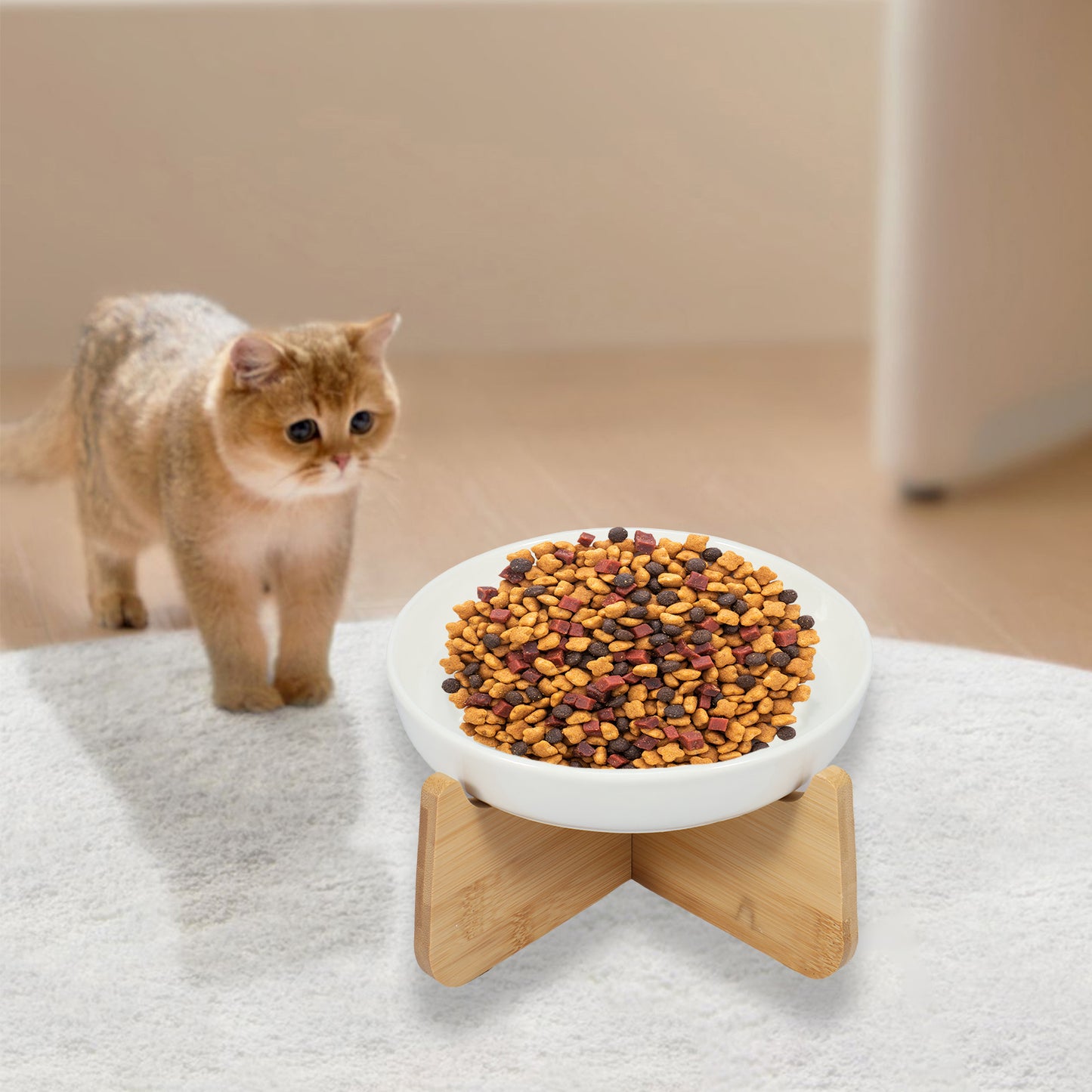 Gamelle surélevée pour chat : bol blanc en céramique sur support en bois, croquettes