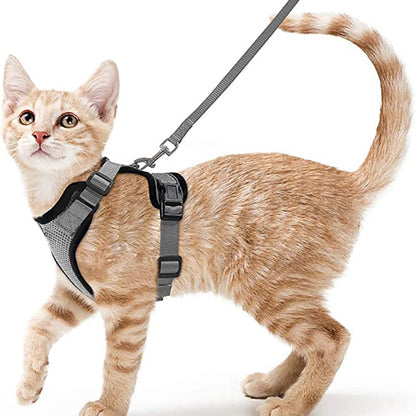 Harnais pour chat gilet gris, sangle réglable et attache poitrine