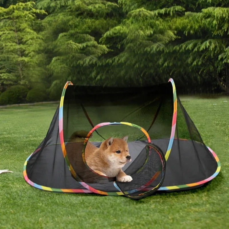 Tunnel et tente pour chat en tissu noir, entrées circulaires et bords multicolores.