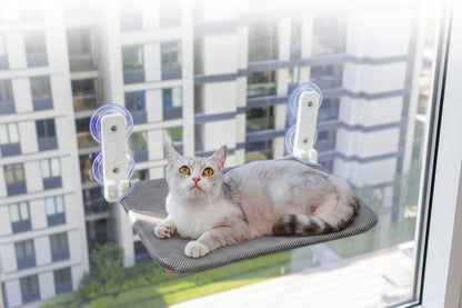 Hamac pour chat fenêtre gris en maille, chat sur la plateforme