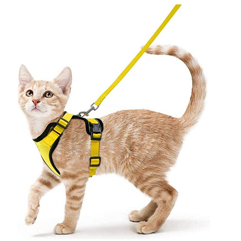 Harnais pour chat gilet jaune, sangles réglables et fermeture poitrine