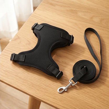 Harnais gilet noir pour chat avec laisse assortie, posés sur une table

