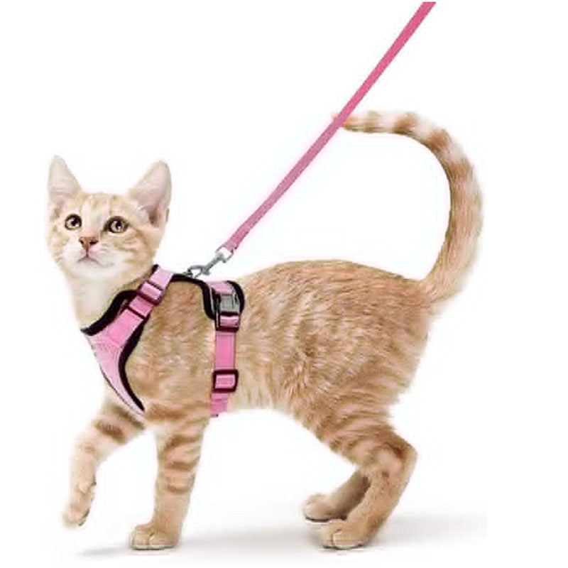 Harnais pour chat gilet rose, sangles réglables et attache thoracique