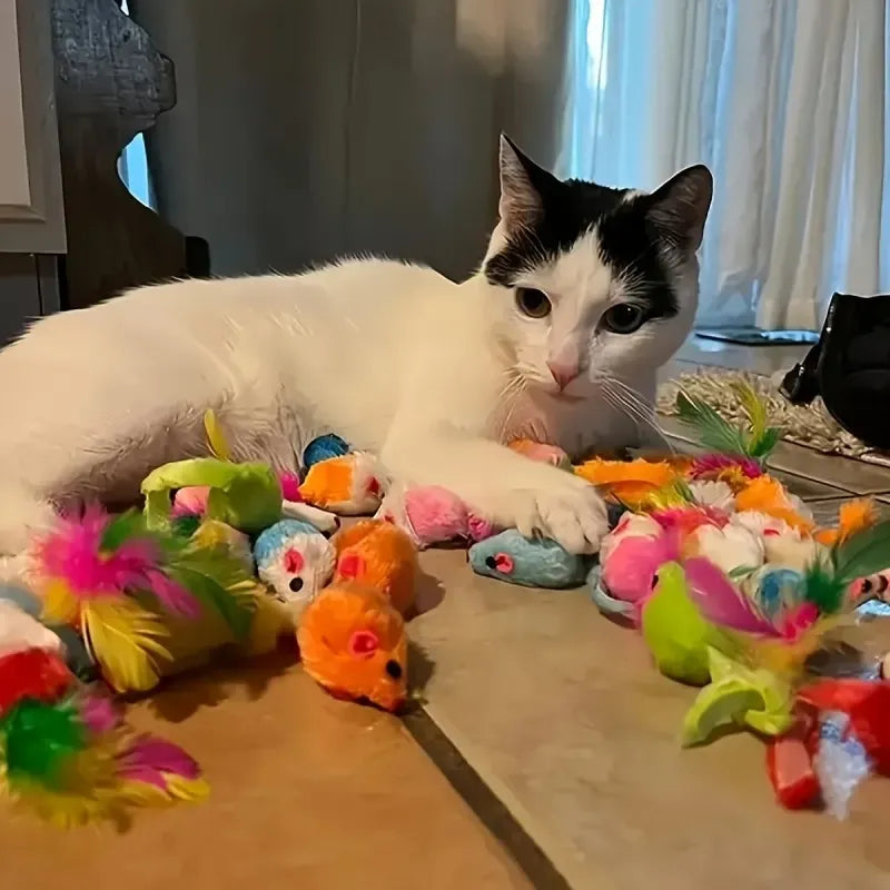 Jouets pour chat multicolores sur sol, peluches et balles pour interaction