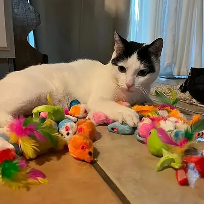 Jouets pour chat multicolores sur sol, peluches et balles pour interaction