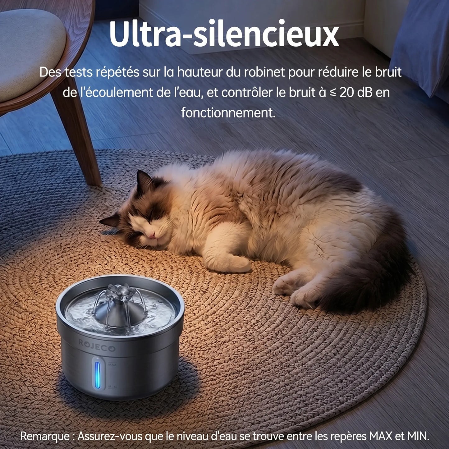 Chat dormant près de sa fontaine à eau silencieuse — pompe ultra-discrète
