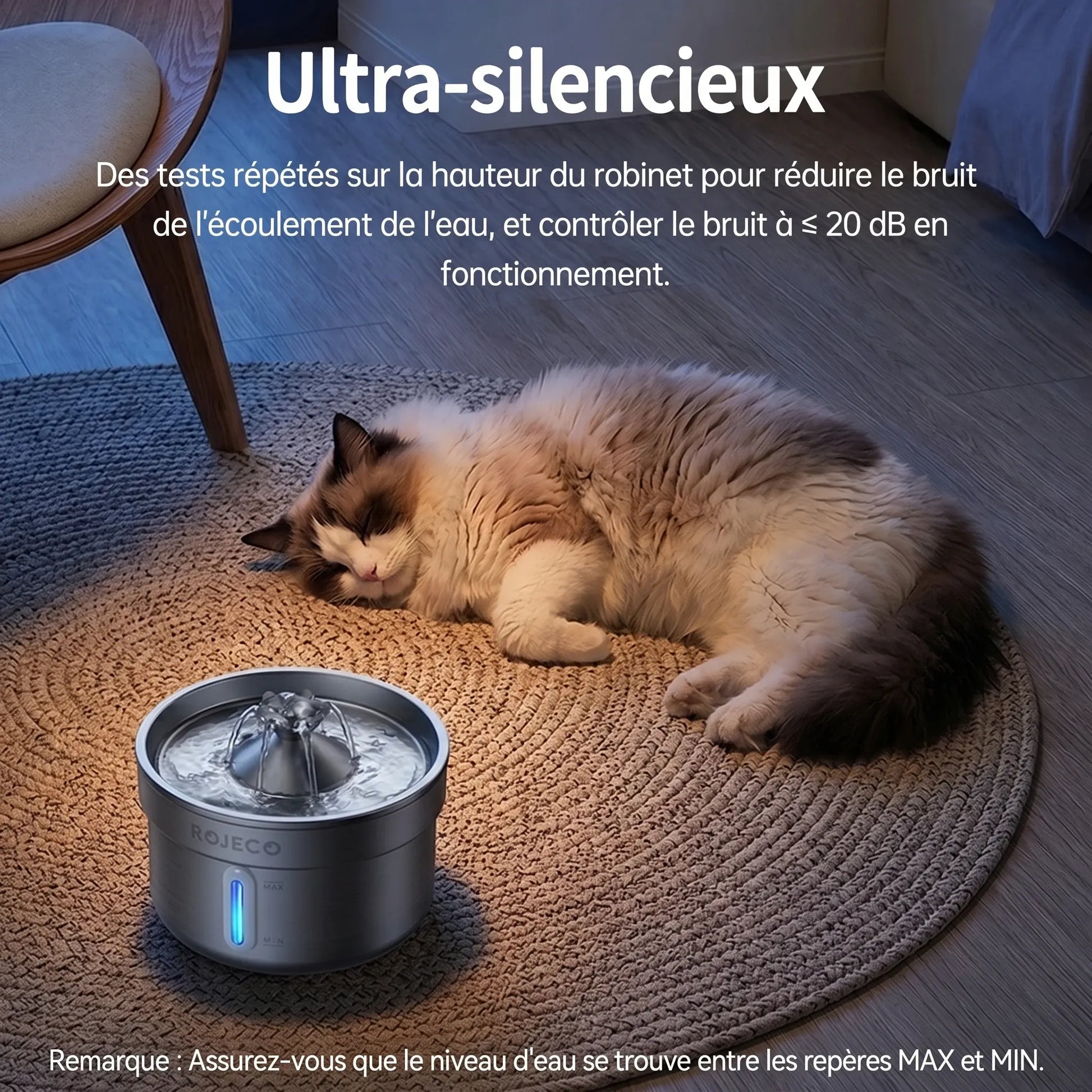 Chat dormant près de sa fontaine à eau silencieuse — pompe ultra-discrète