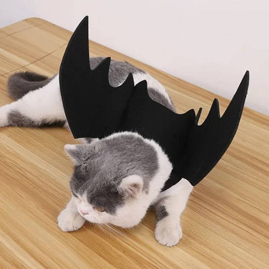 Déguisement de chat StarCostume noir à grandes cornes et ailes