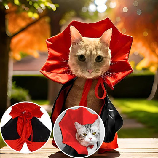 Déguisement pour chat cape de vampire
