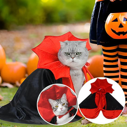 Déguisement pour chat fete