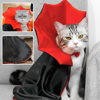 Déguisement pour chat halloween
