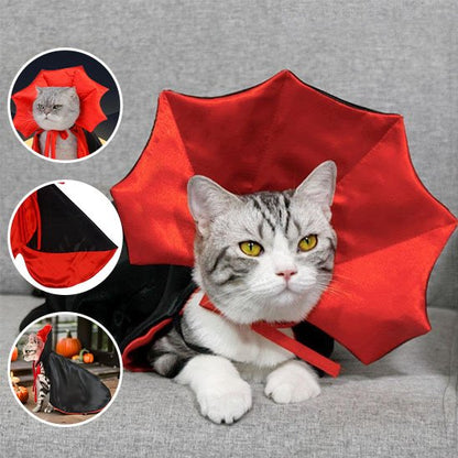 Déguisement pour chat noire et rouge