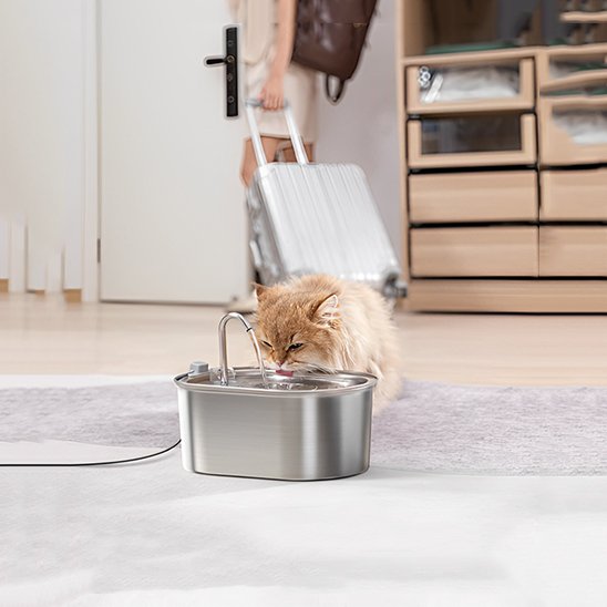 Fontaine a eau chat | Inox Zen chaton