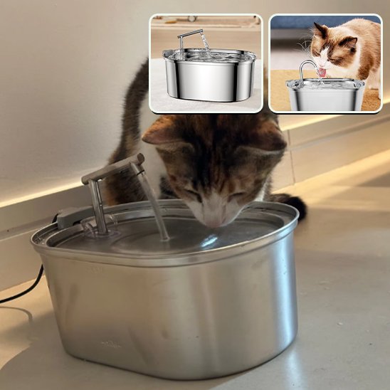 Fontaine a eau chat | Inox Zen facile l envie de boire