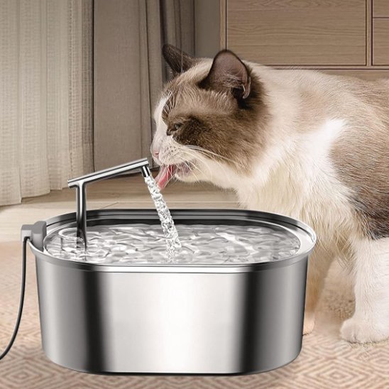 Fontaine a eau chat | Inox Zen fontaine