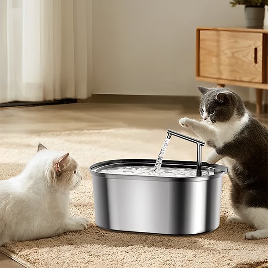 Fontaine a eau chat | Inox Zen