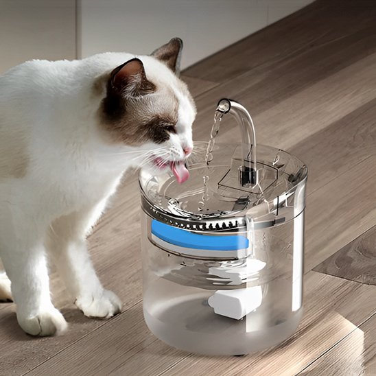 Fontaine a eau chat | AutoFlow apprentissage