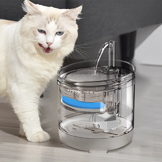 Fontaine a eau chat | AutoFlow education