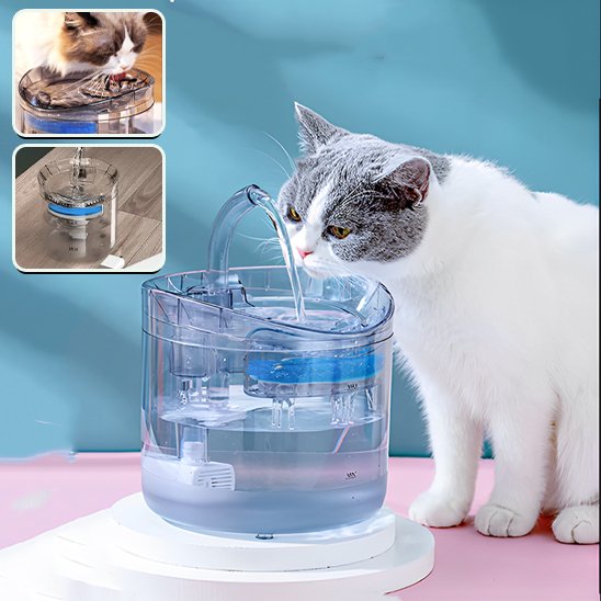 fontaine a eau chat hydratation