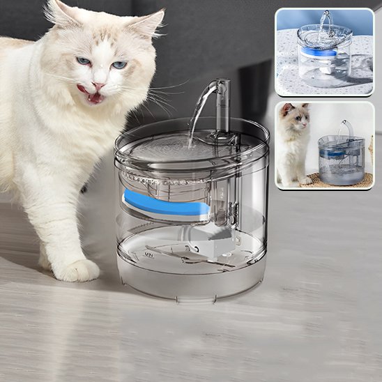 Fontaine a eau chat | AutoFlow