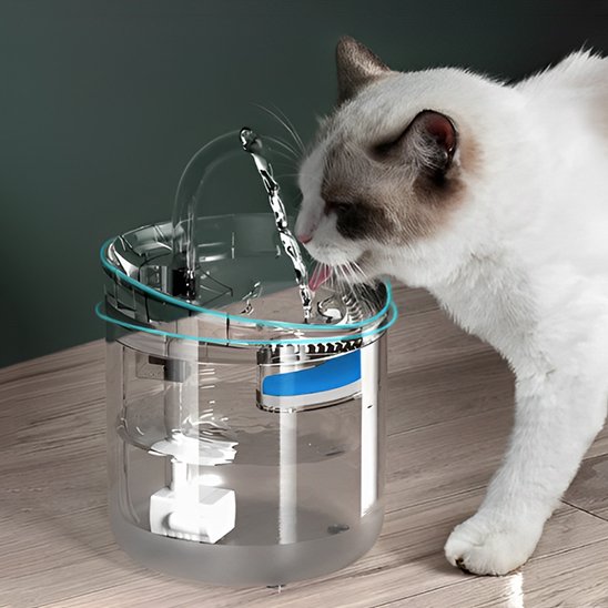 Fontaine a eau chat | AutoFlow peu encombrant