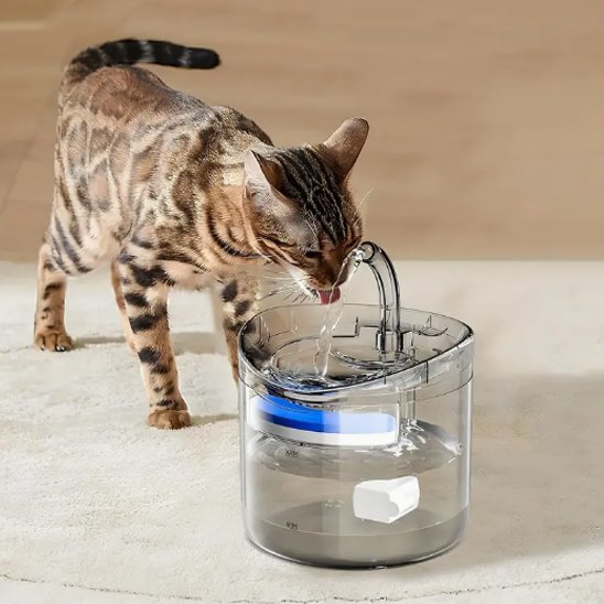 Fontaine a eau chat | AutoFlow transpare nte
