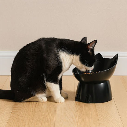 Gamelle Chat surélevée | Ergo - Universduchat