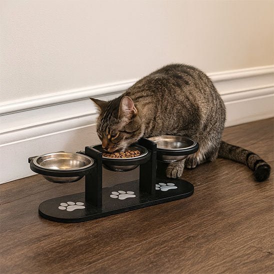 Gamelle Chat surélevée | DigiConfort - Universduchat