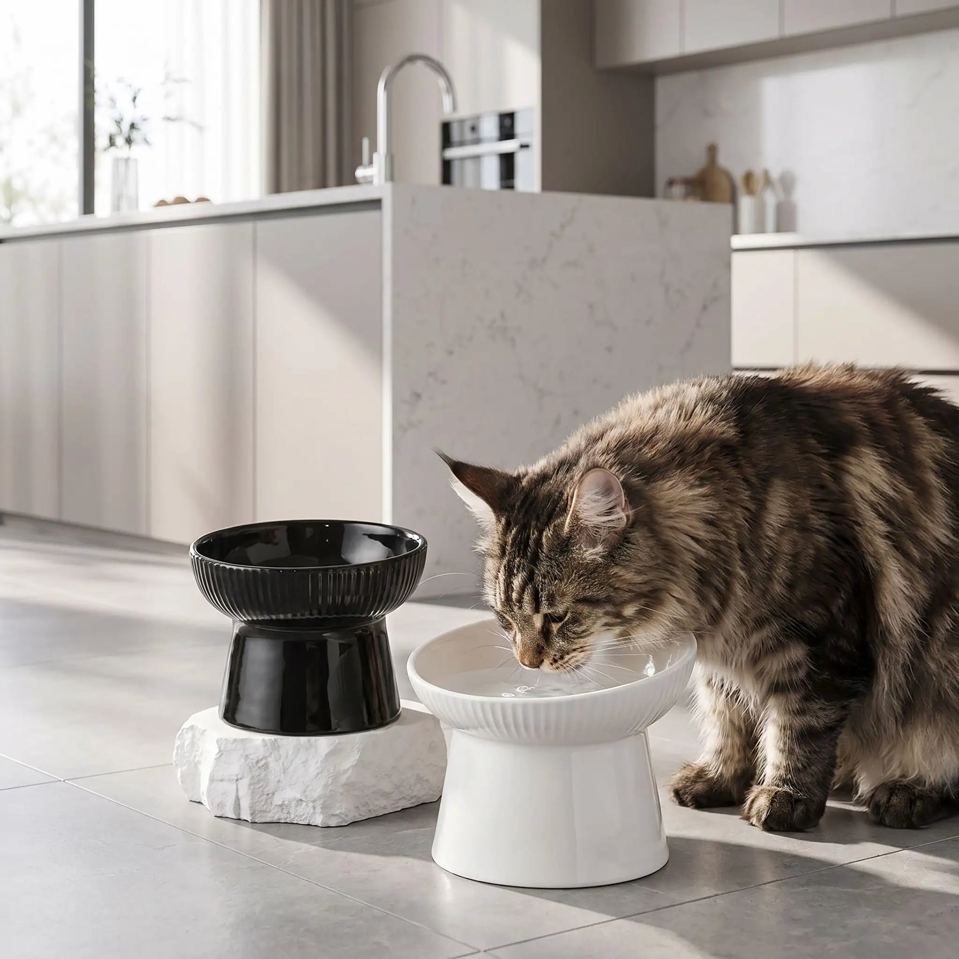 Gamelle chat surélevée en céramique   noirs et blanc