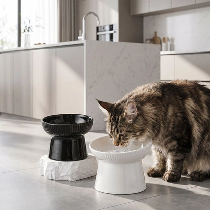 Gamelle chat surélevée en céramique   noirs et blanc