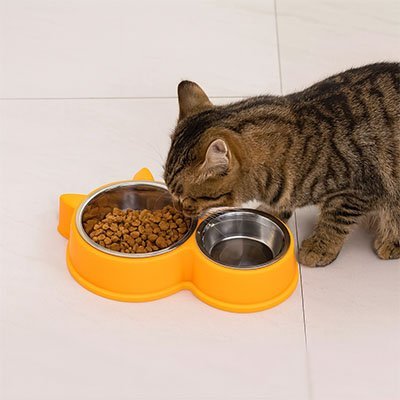 Gamelle pour chat | EcoDesign - Universduchat