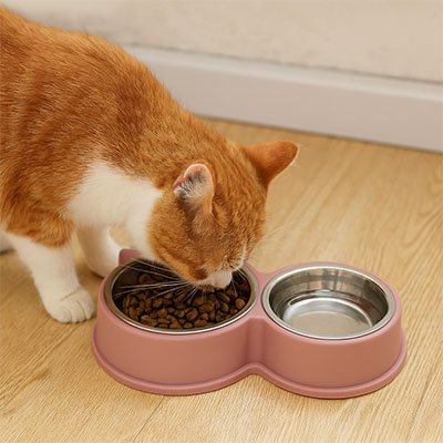 Gamelle pour chat | EcoDesign - Universduchat