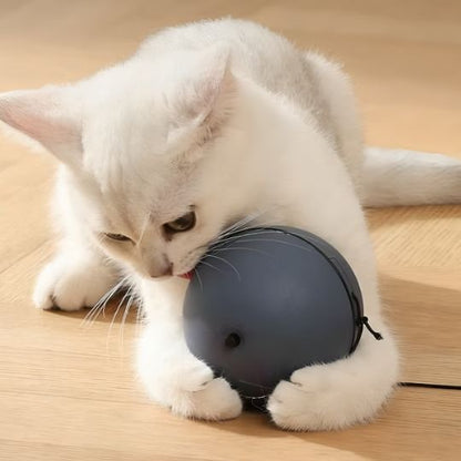 Jouet pour chat | Balle Motorisée Intelligente - facile la chasse