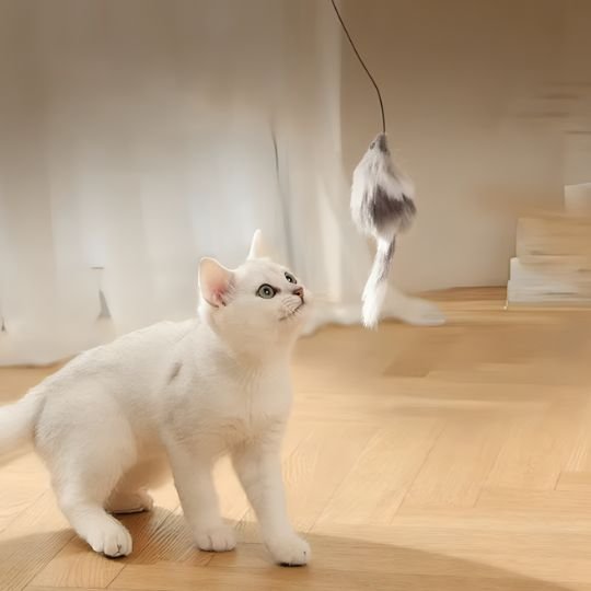 Jouet pour chat | Balle Motorisée Intelligente  Universduchat jeux