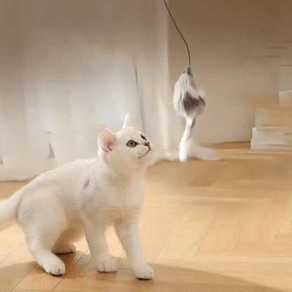 Jouet pour chat | Balle Motorisée Intelligente  Universduchat jeux