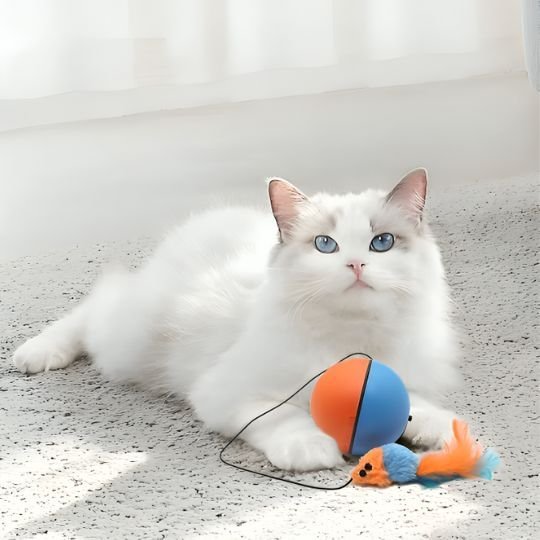 Jouet pour chat | Balle Motorisée Intelligente - Universduchat