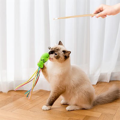Jouet pour chat | Canne à Pêche Ludique verte